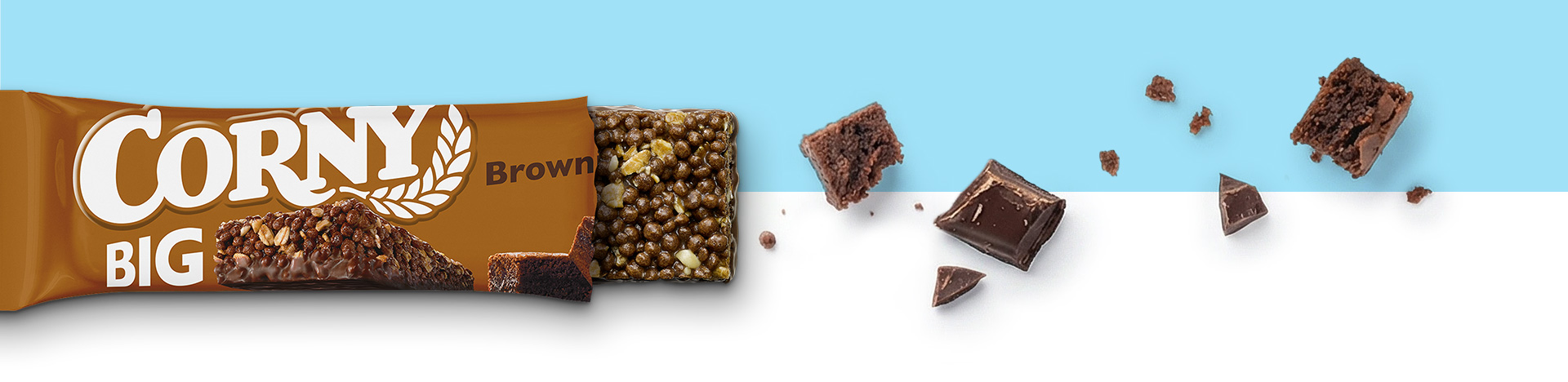 Transitions-big-brownie-1920x468 (1).jpg